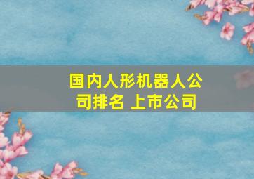 国内人形机器人公司排名 上市公司